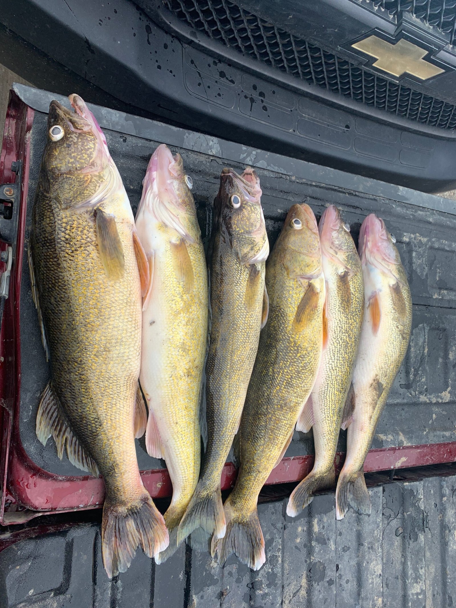 62354404153 F6052A71 1004 477F B4C2 D8F355FC97EC (1) 62354404153 F6052A71 1004 477F B4C2 D8F355FC97EC (1)