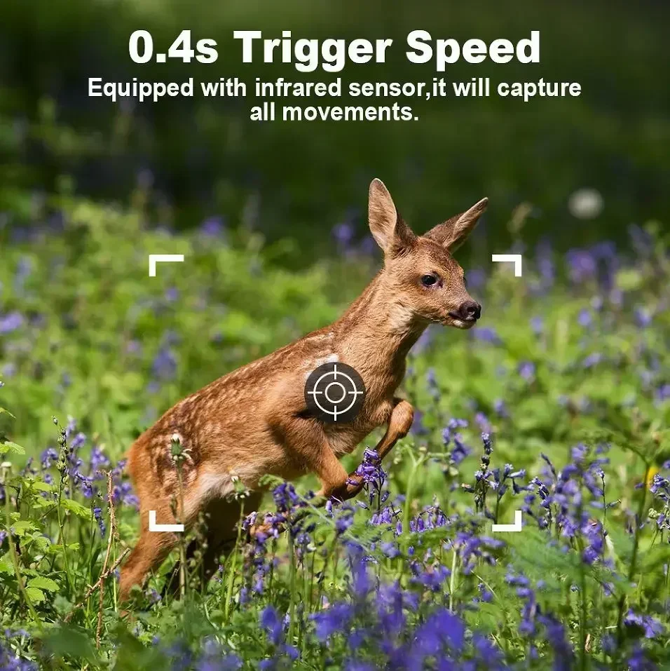 kf S551597d78dea4337bda106ddd84912e0s