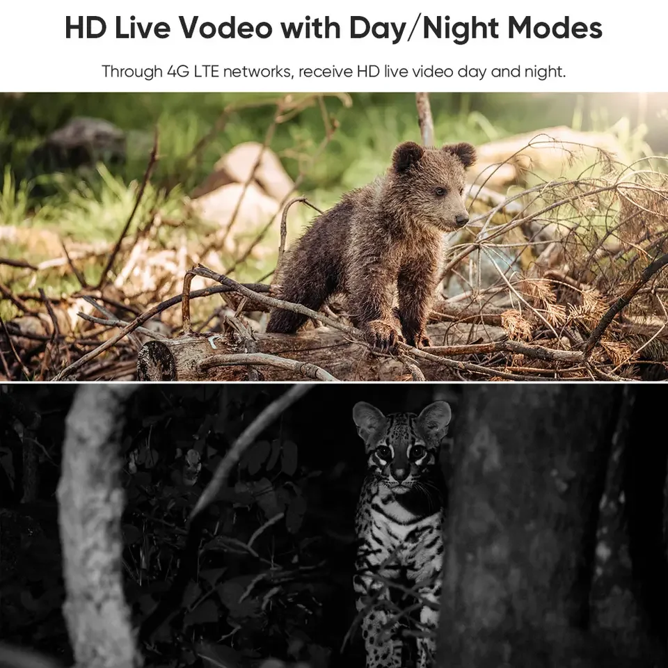 kf S80f9f70e61e047a7ae65eb33b3269931P