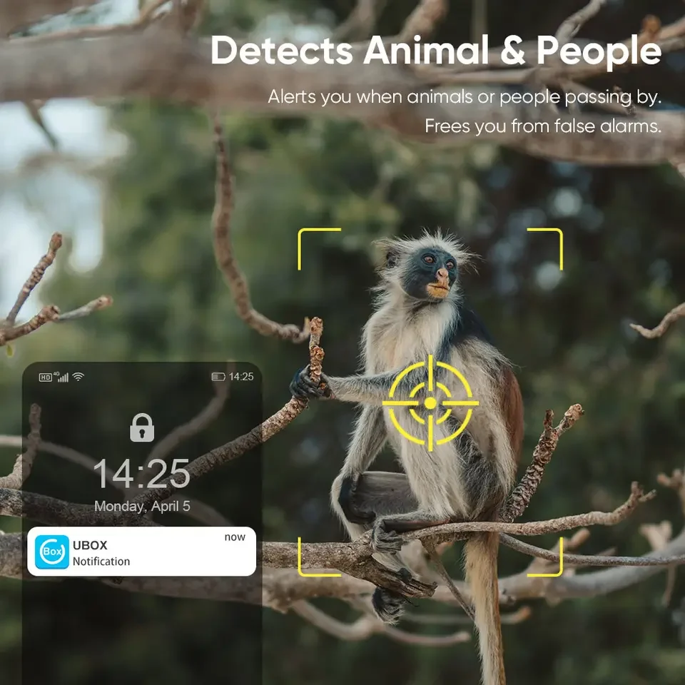 kf S94663b8d30b94e24b0eacecbdf097277i