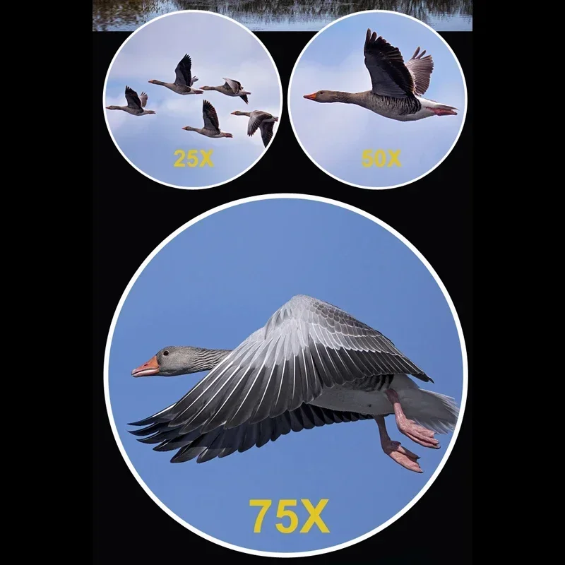 kf Sc7ac9d4908604f0498cfa7b85f7c059dW