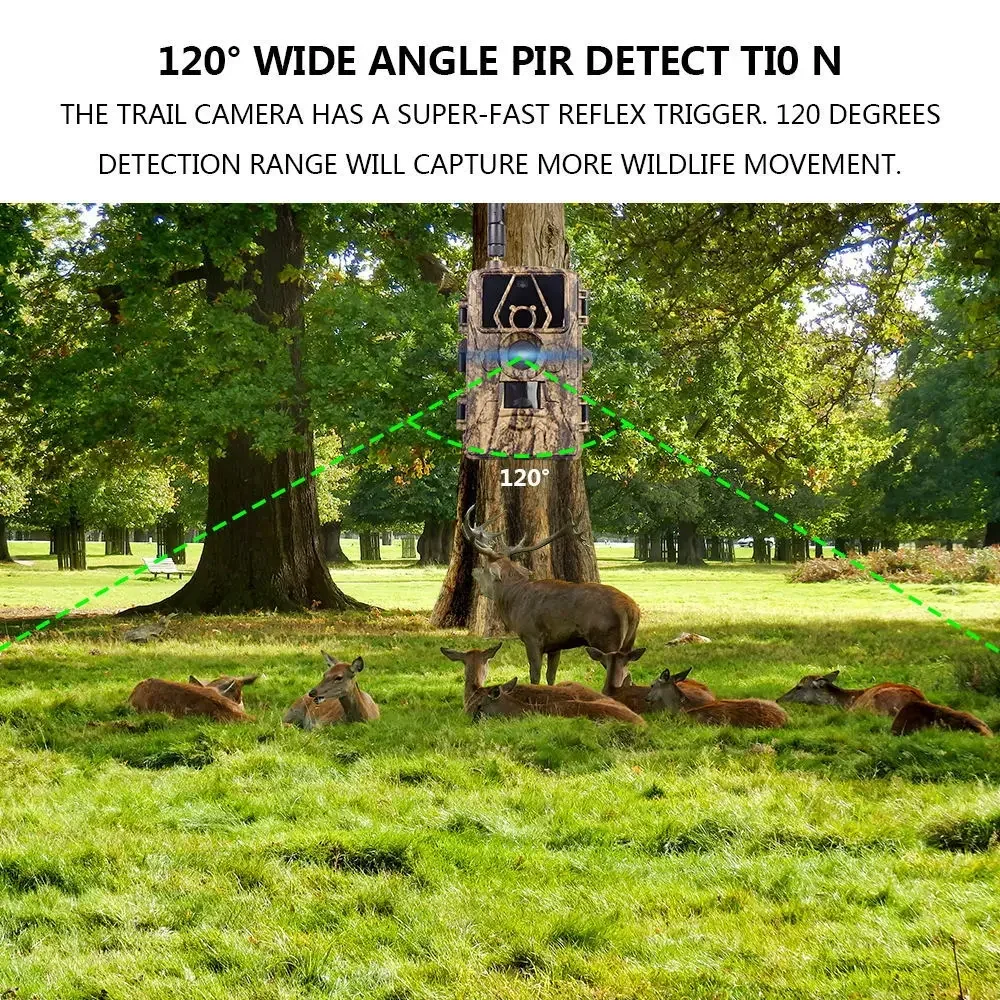 kf Se0b7587970924e88b4edb25e1c39a3735