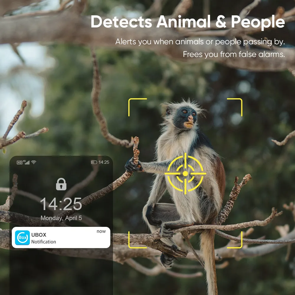 kf S29fa96bbfccb4aaba994cf3ba0737c3dO