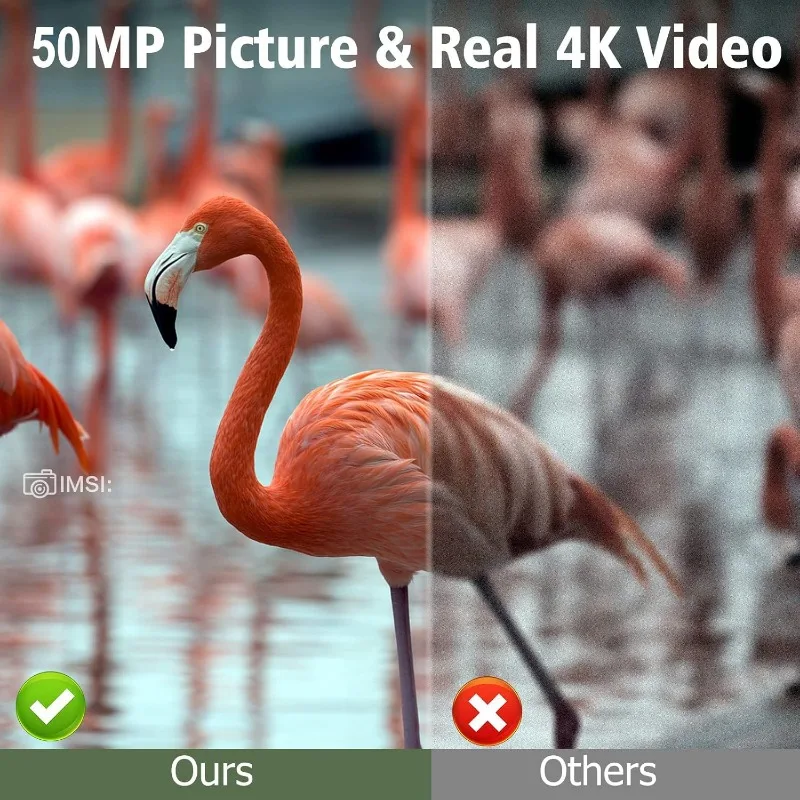 kf S3bf4a6adf61b4c9582ed46bcf8c789f84