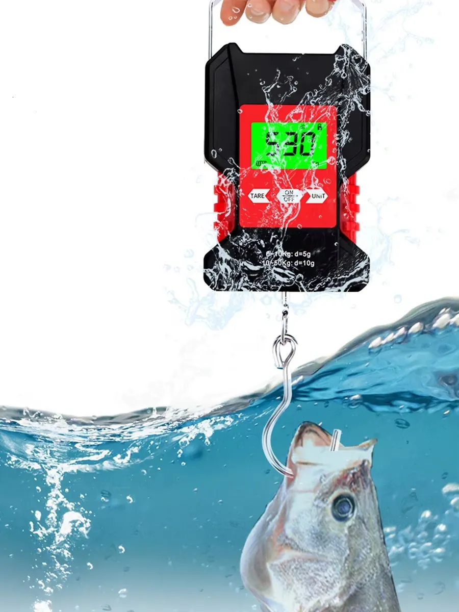 kf S41f58da7c55d4ebfa8aac96b2b608bd9X