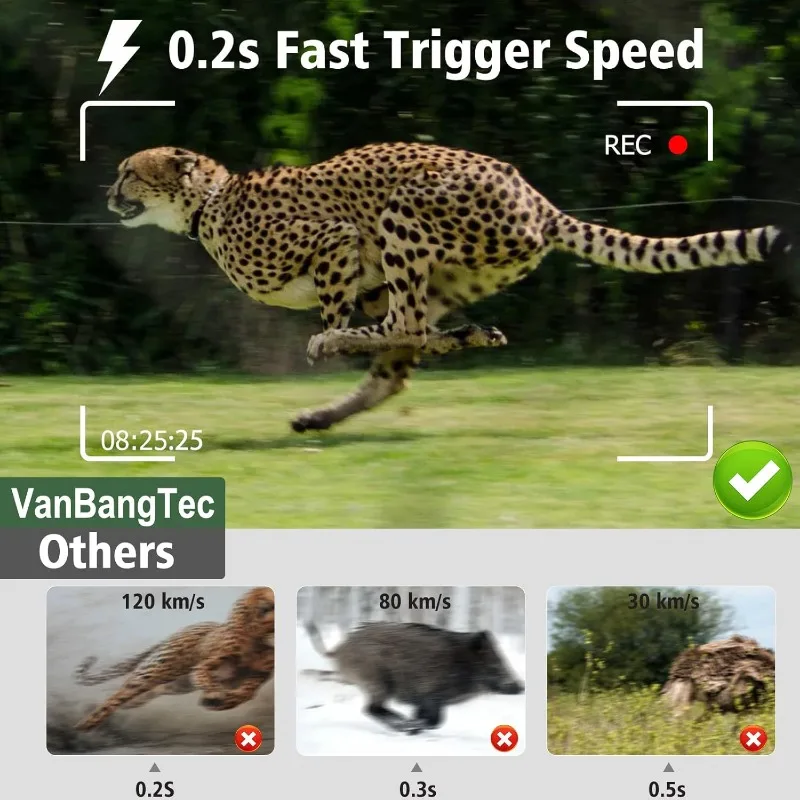 kf Sa0ec1d8261d84acabcb72e75ae8a16c4i