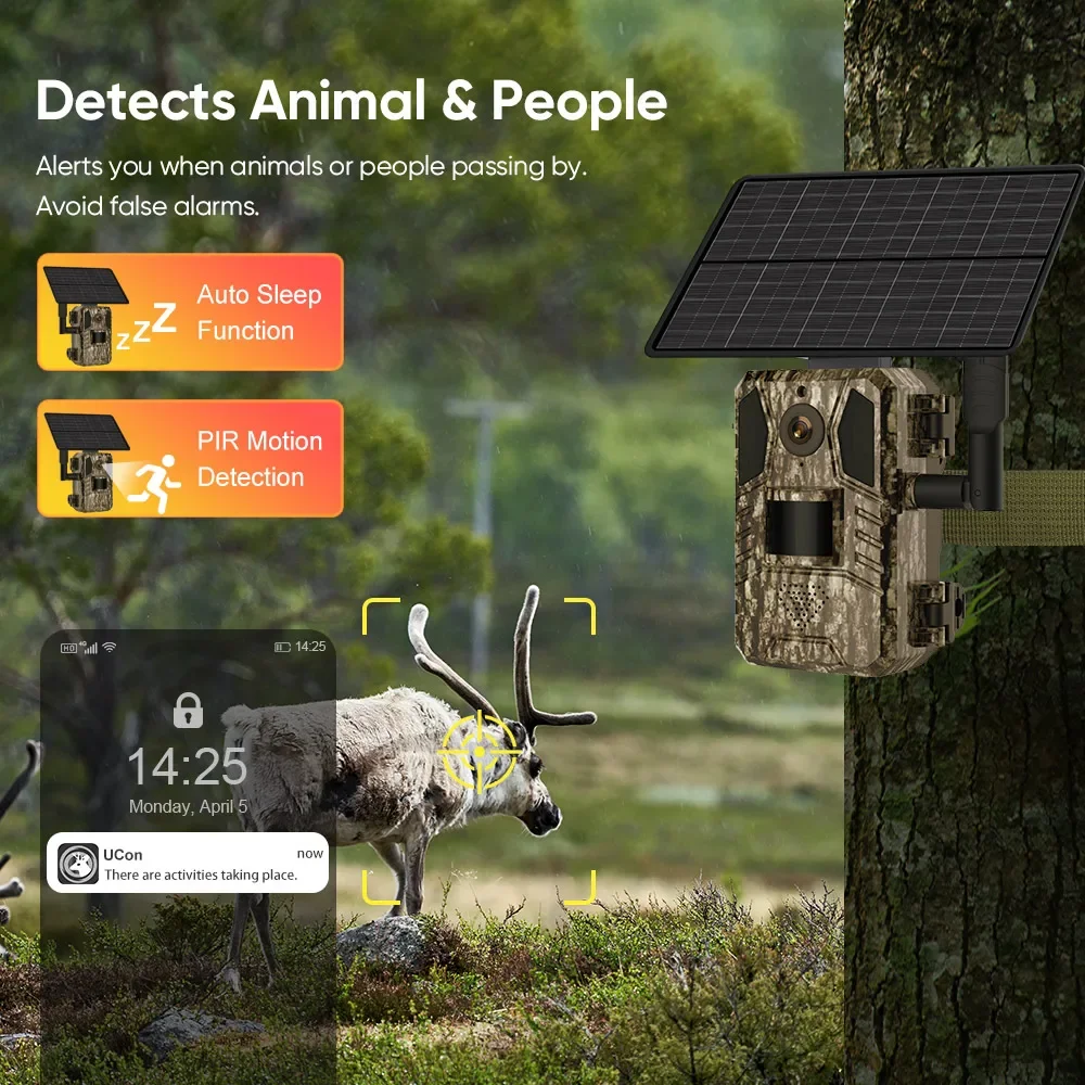 kf Sc7a0e8f6ec264192ab625cd676154e58t