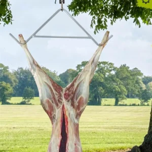 kf Sd66594d5c3974994946124bdcc443e2ad