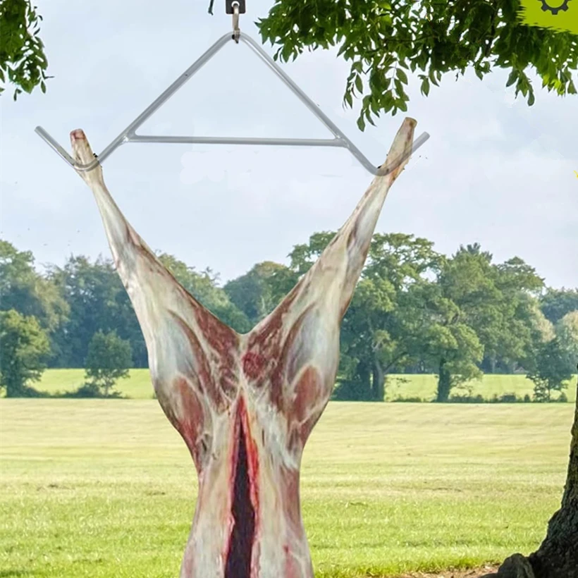 kf Sd66594d5c3974994946124bdcc443e2ad