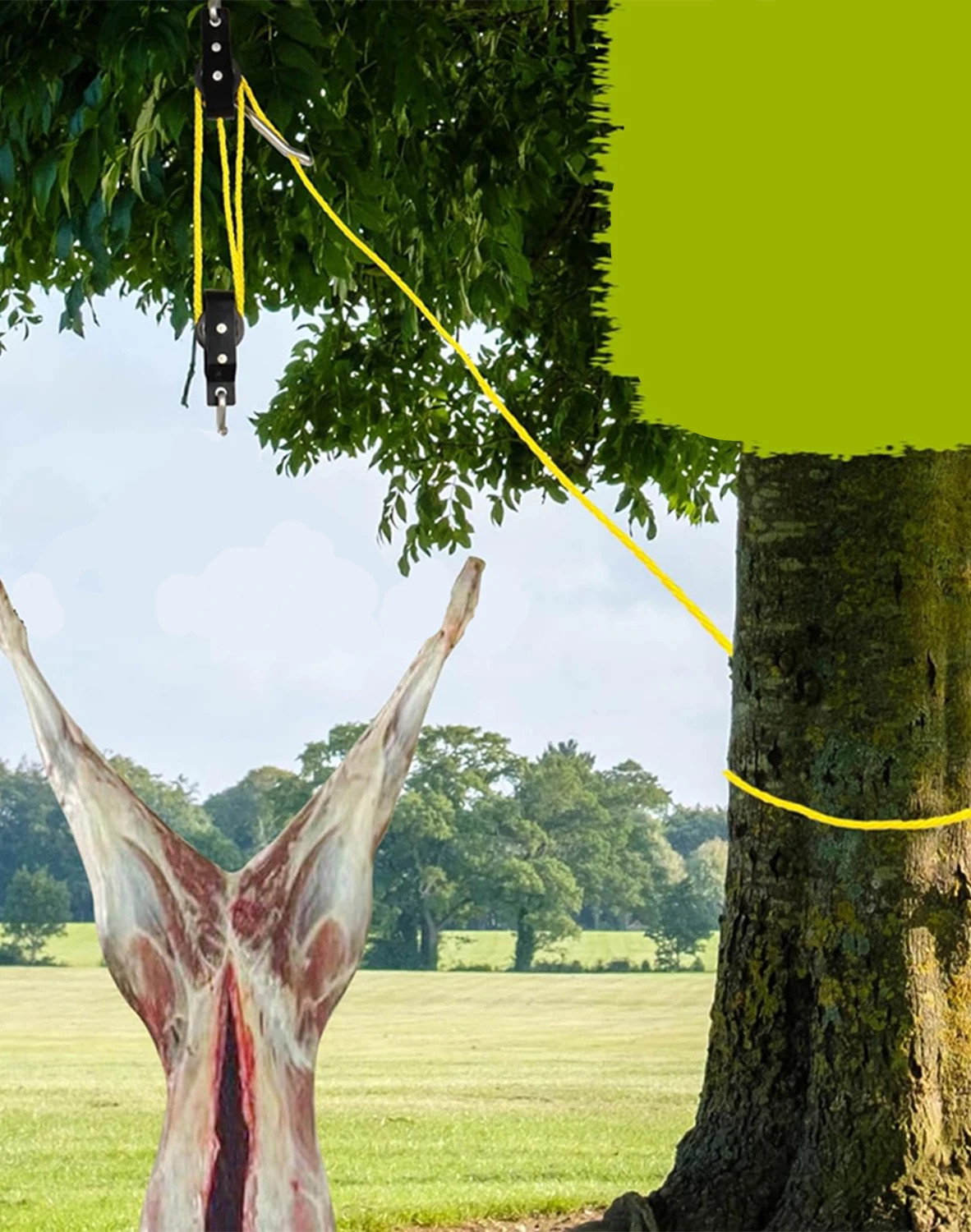 kf Aa626dd1f5fdf42428fde9433afa9f48ao